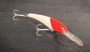 Pic: Mick Fletoridis